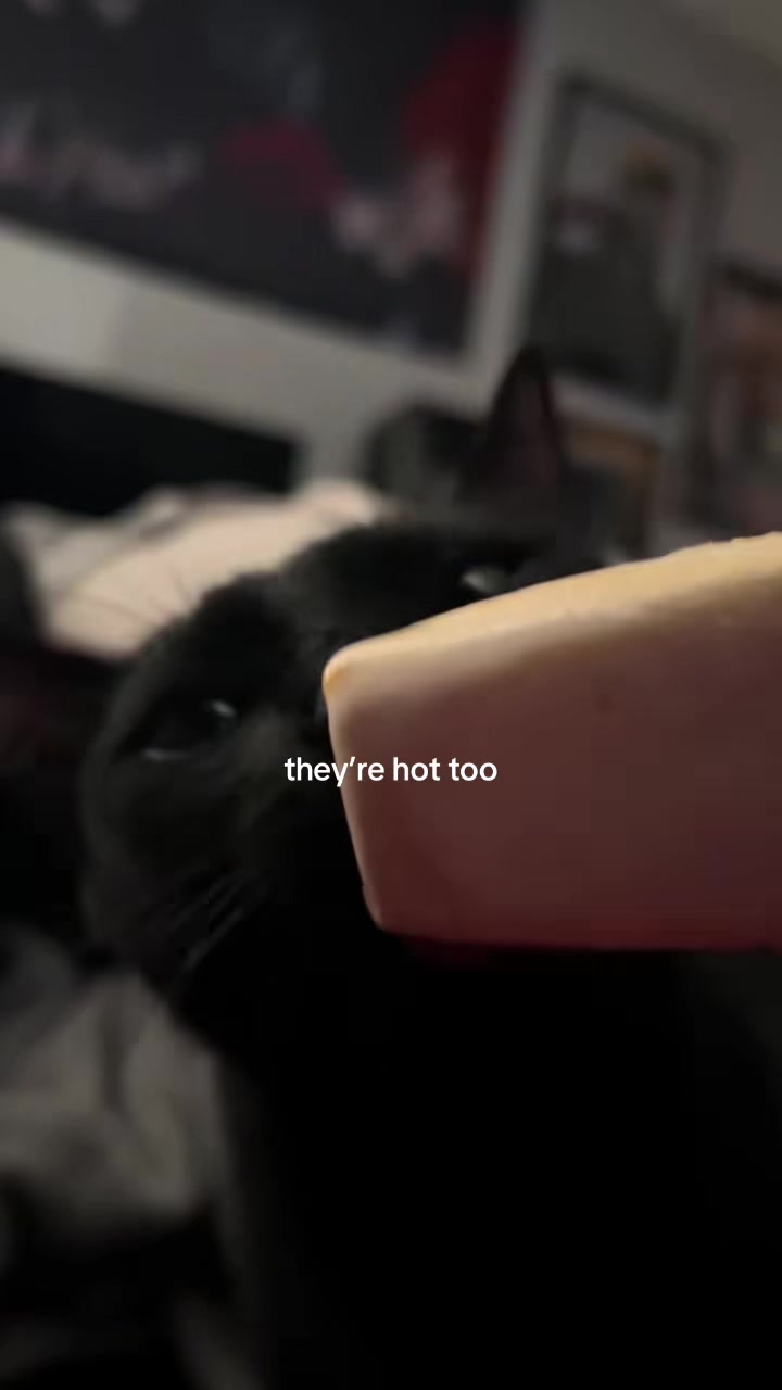@𑣲𝓳
