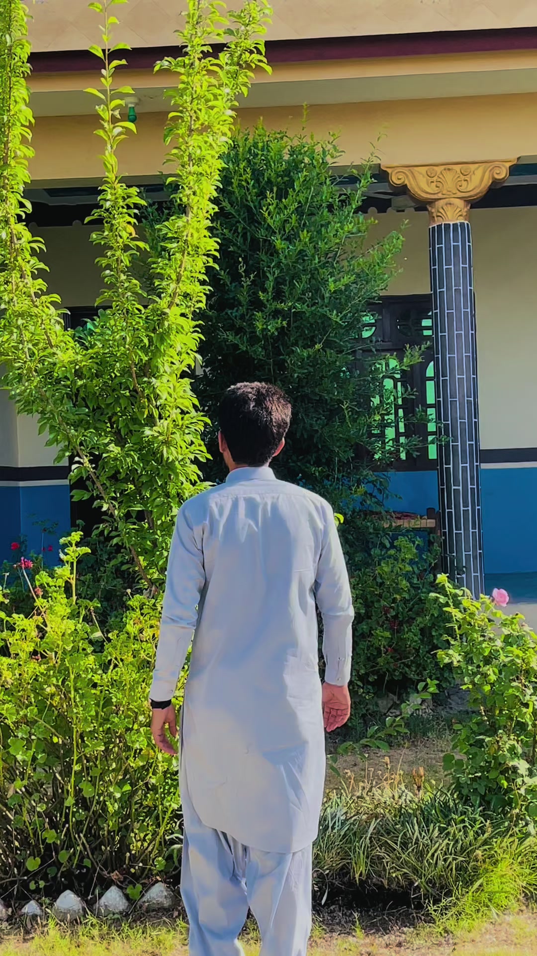 @Junior Dr 👨⚕️ (iQ)