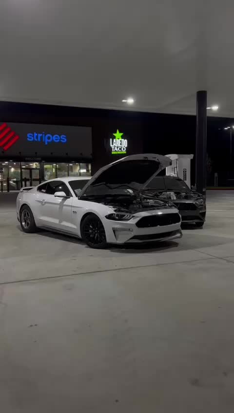 @Raysss550
