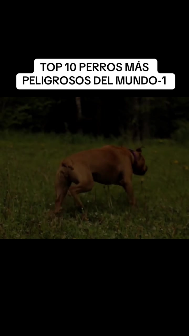 @user4076628818079