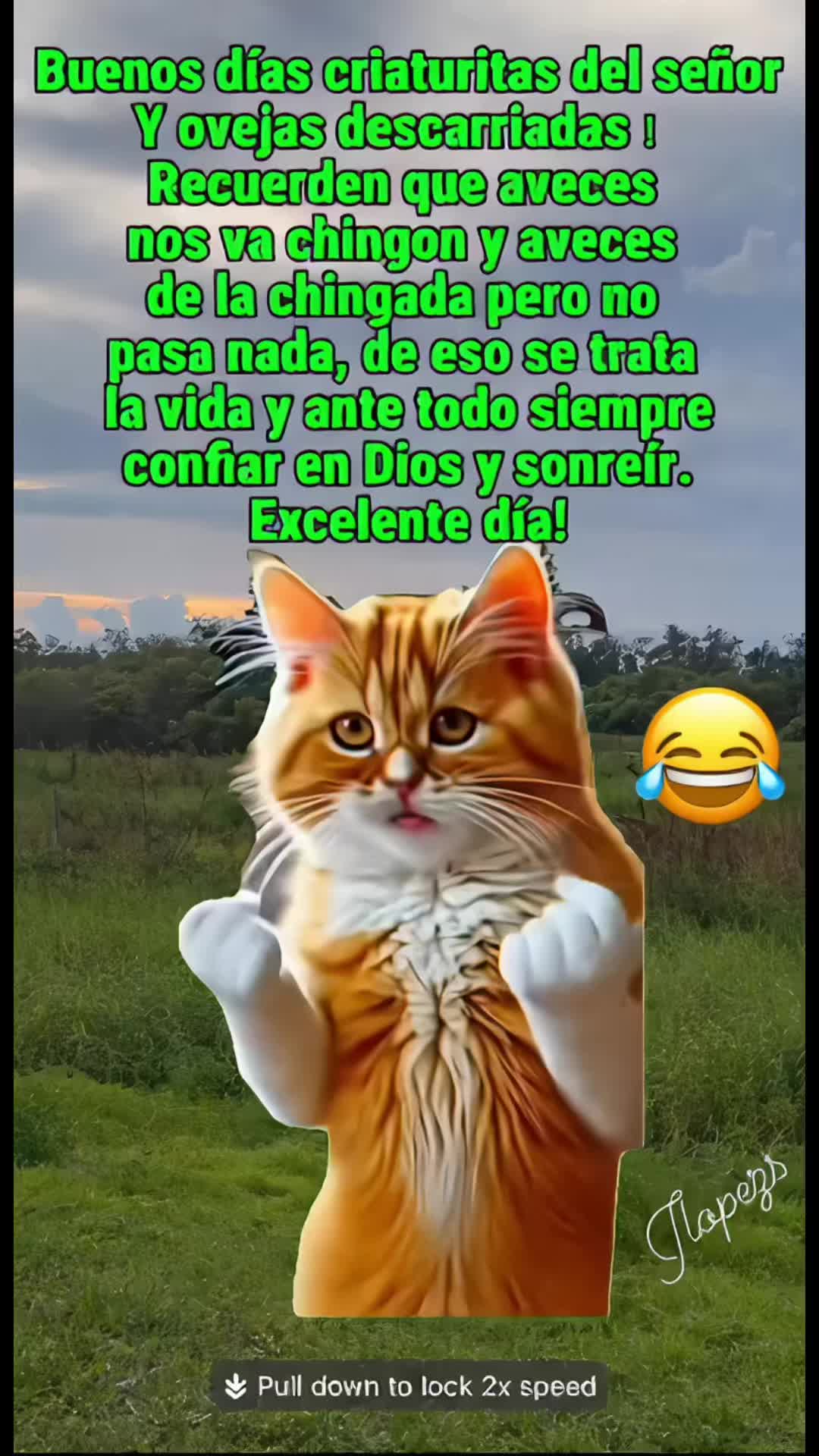 @Pedro Cruz