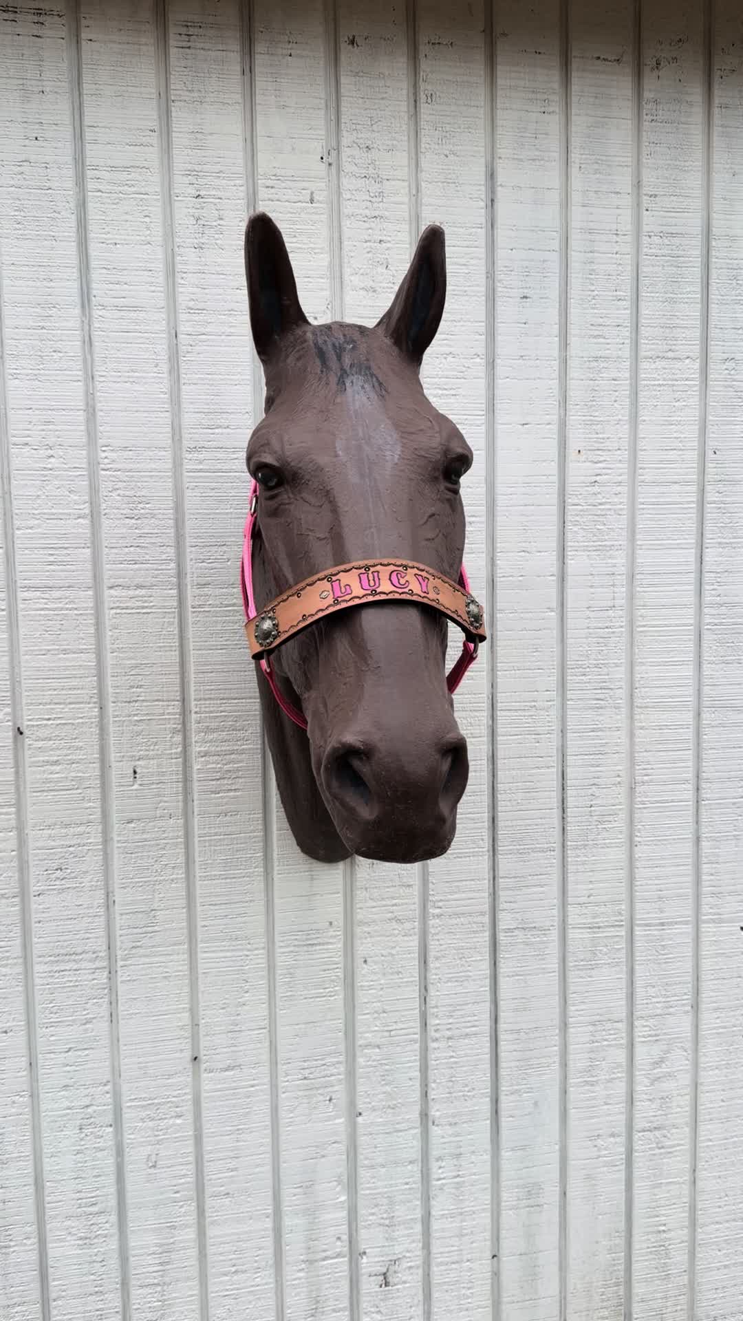 @Tiffanys Braided Horse Tack