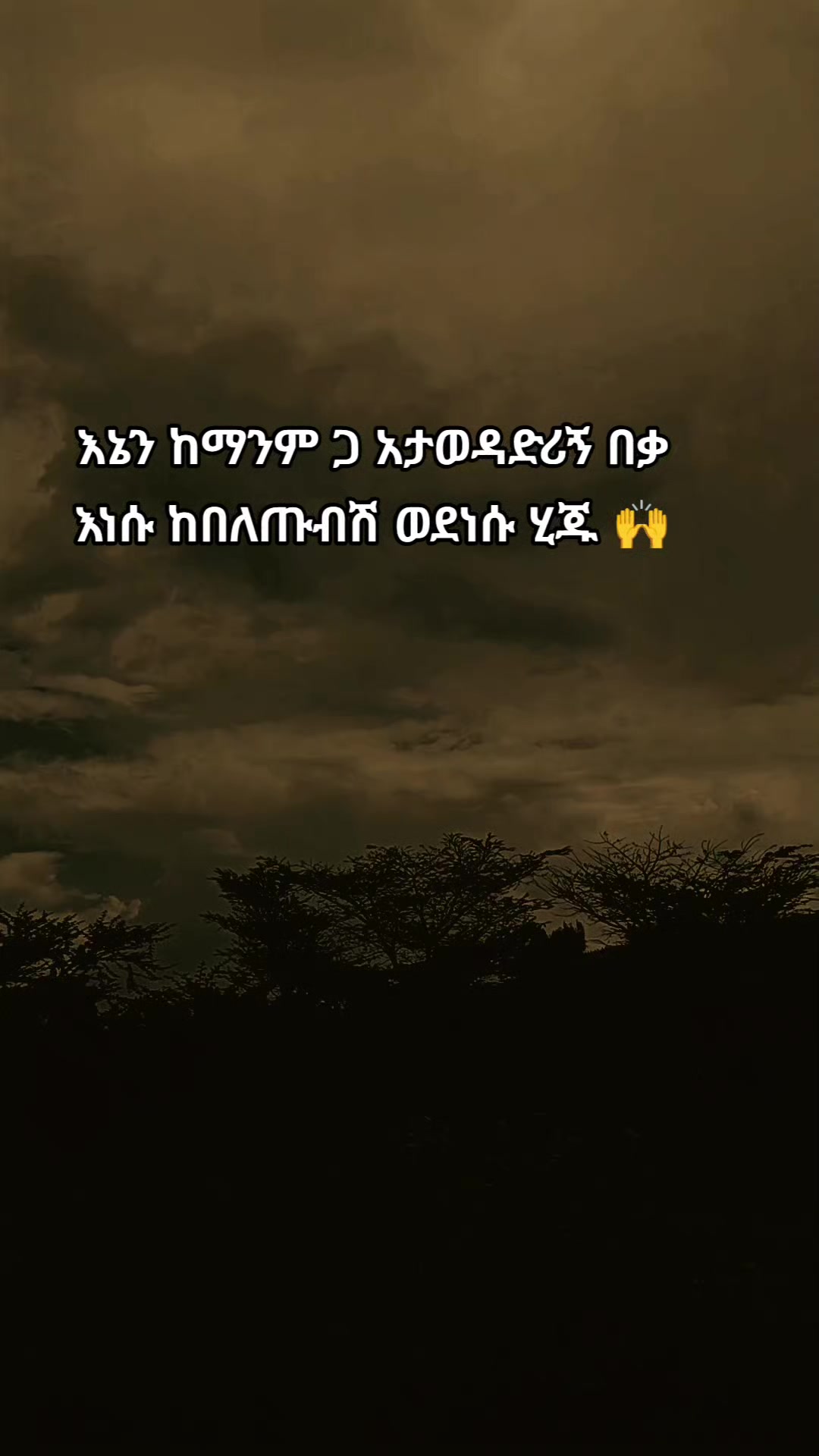@โจ TEMU Quotes
