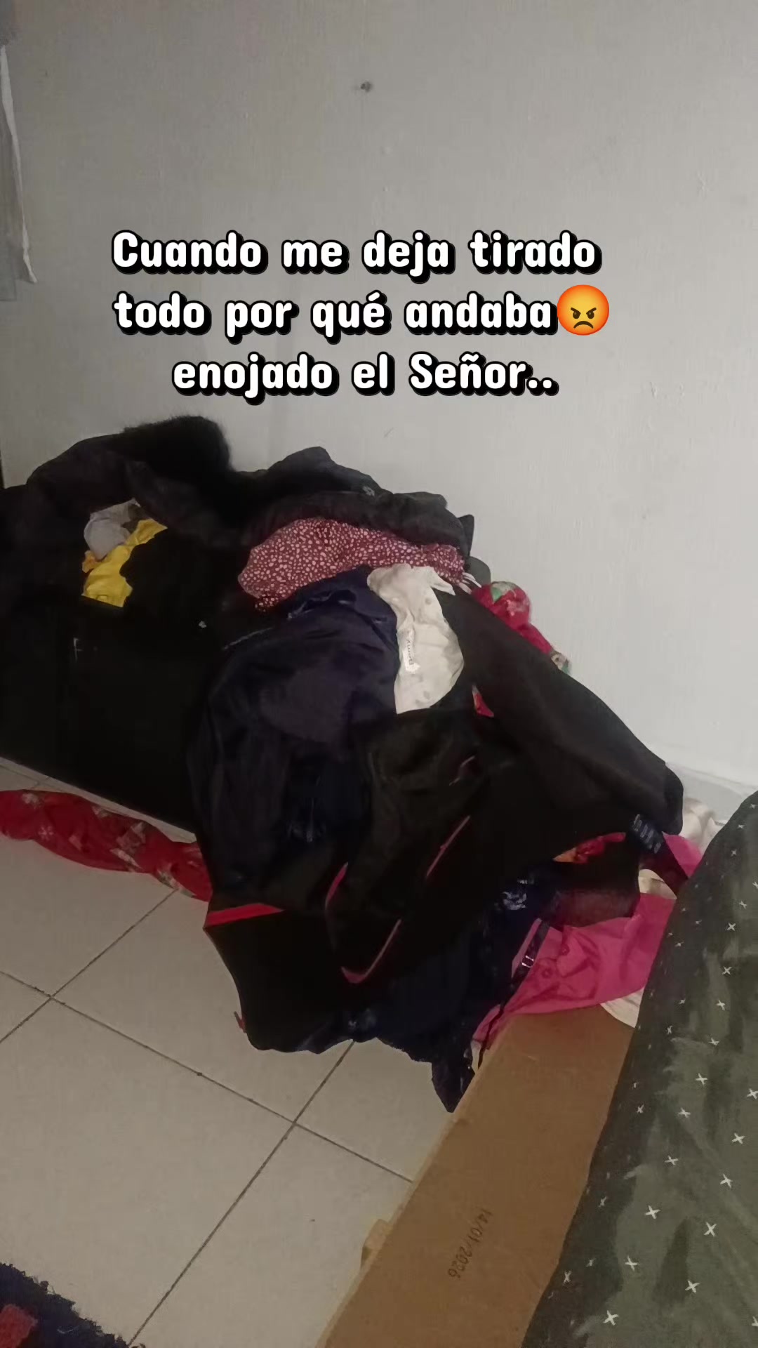 @Anittazenteno🫂🙋🏻♀️ ❤️🌮