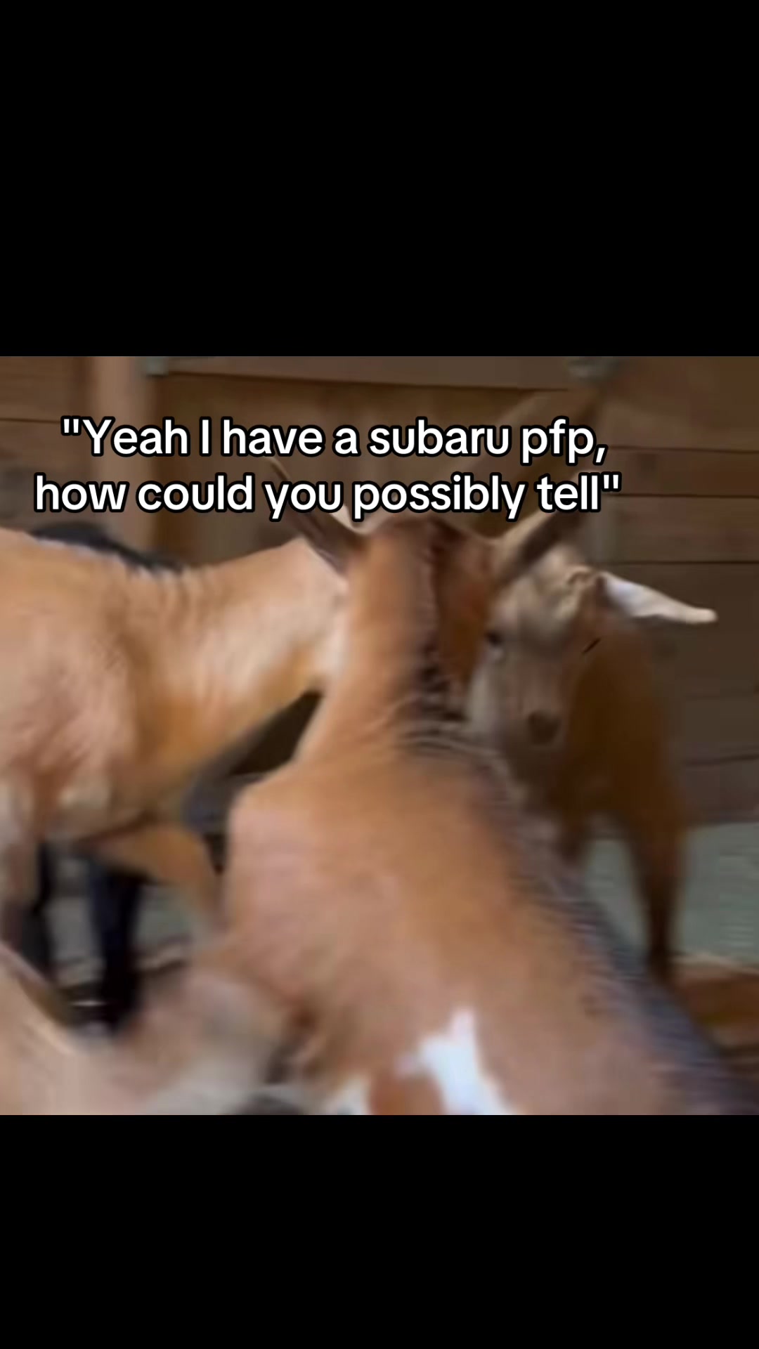 @Sp1axW