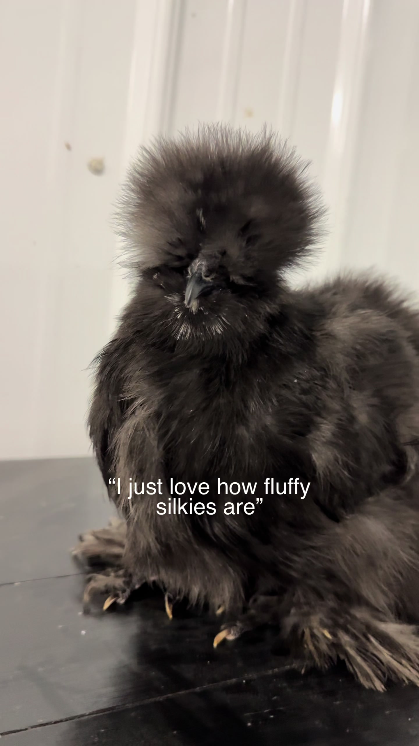 @Alivia ✨🖤🐦⬛
