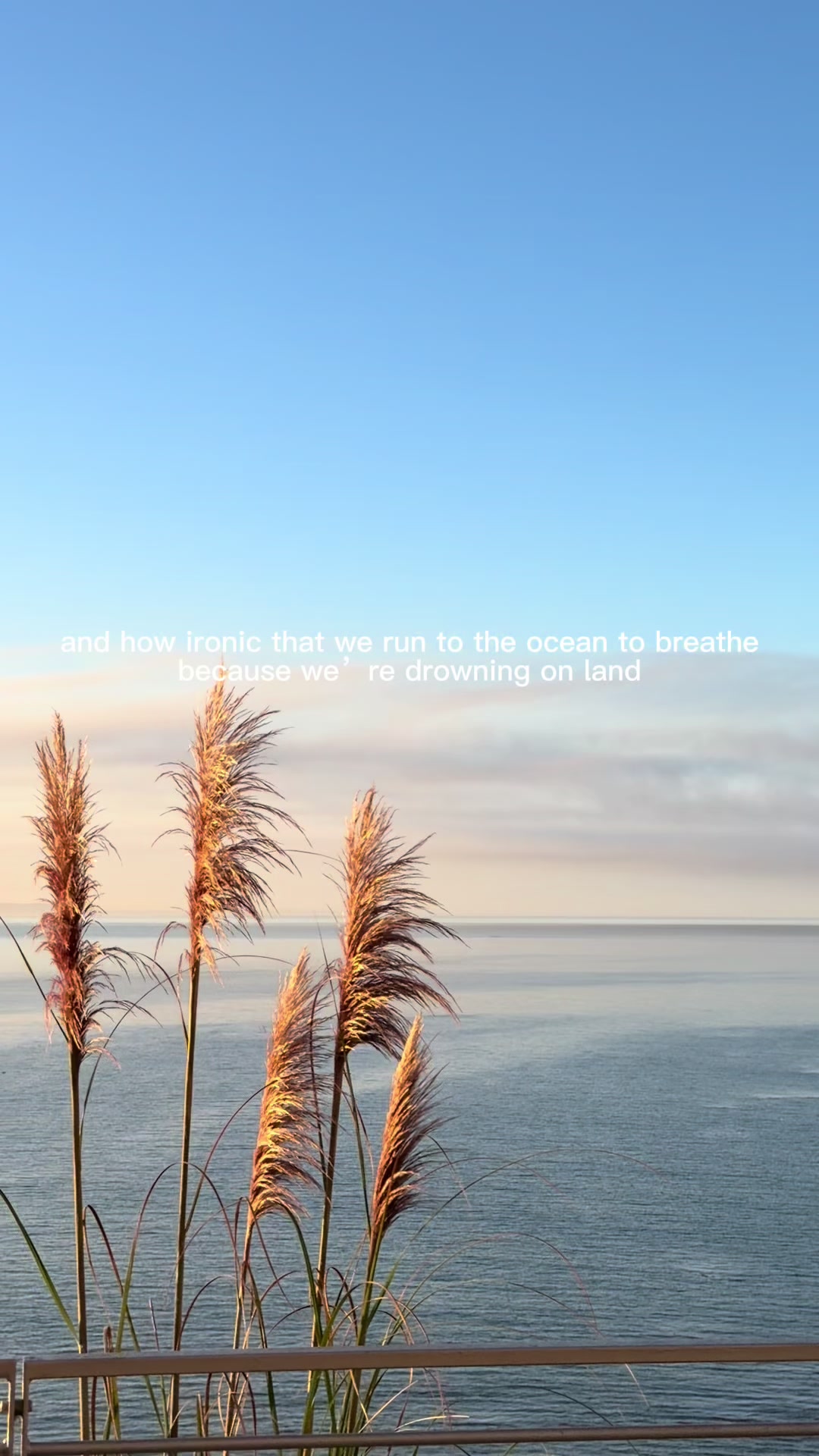 @Breezy Frost