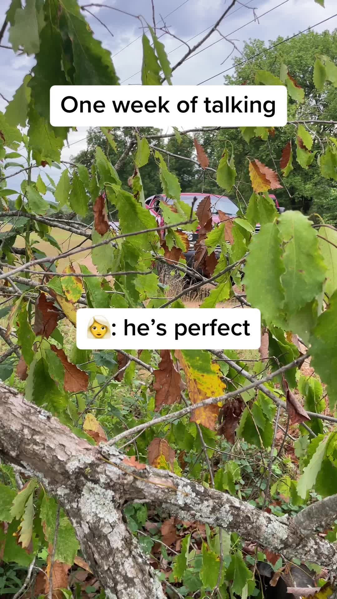 @Peyton McClintock