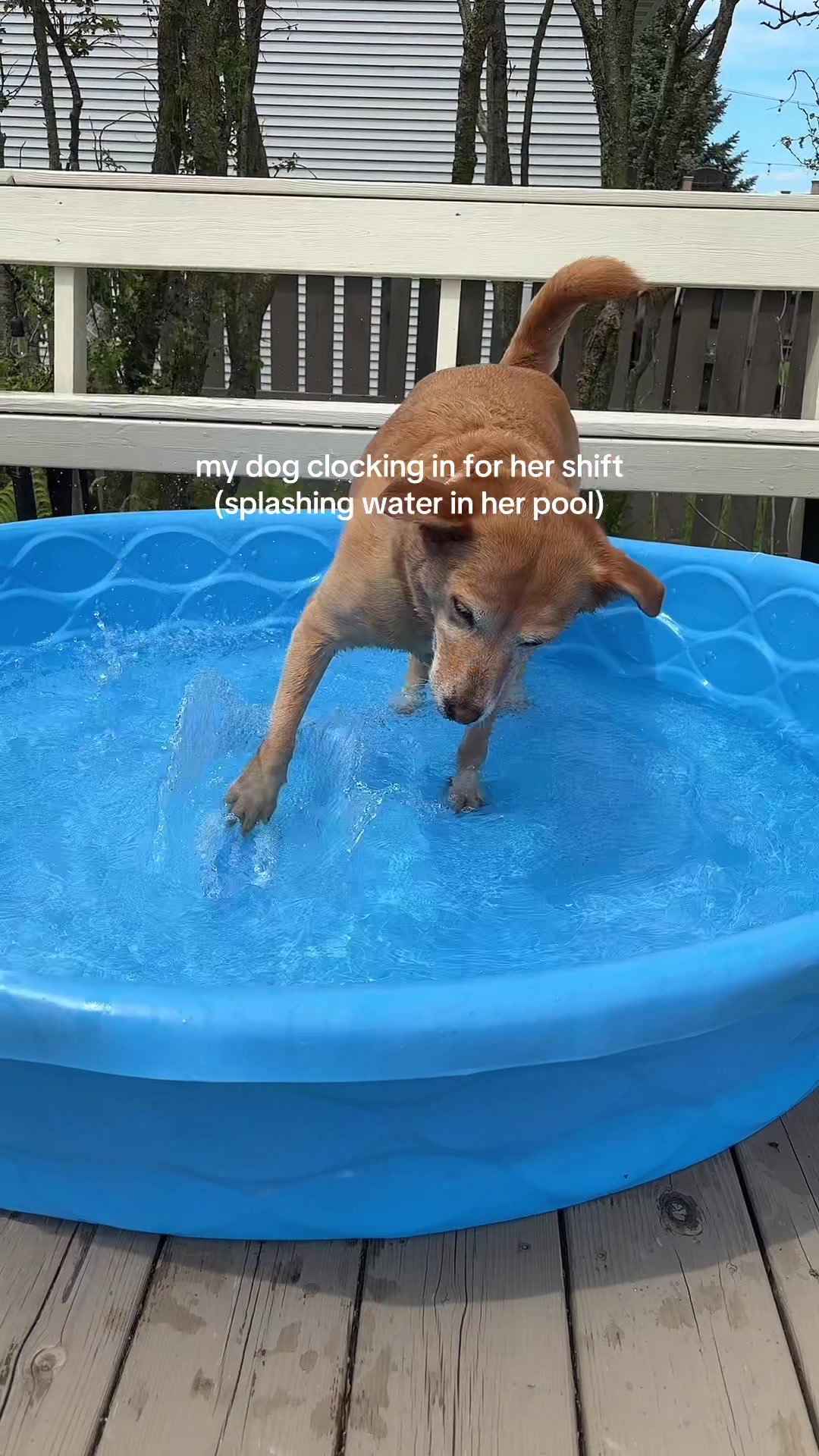 @olivia