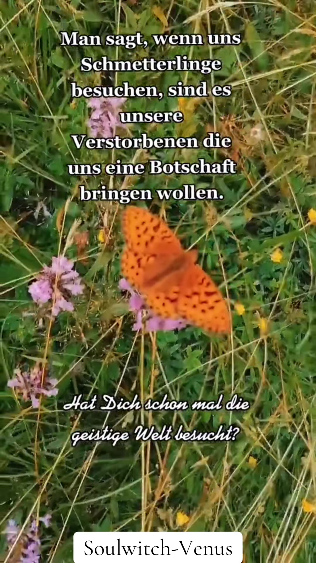 @𝕊𝕆𝕌𝕃WITCH 🌙