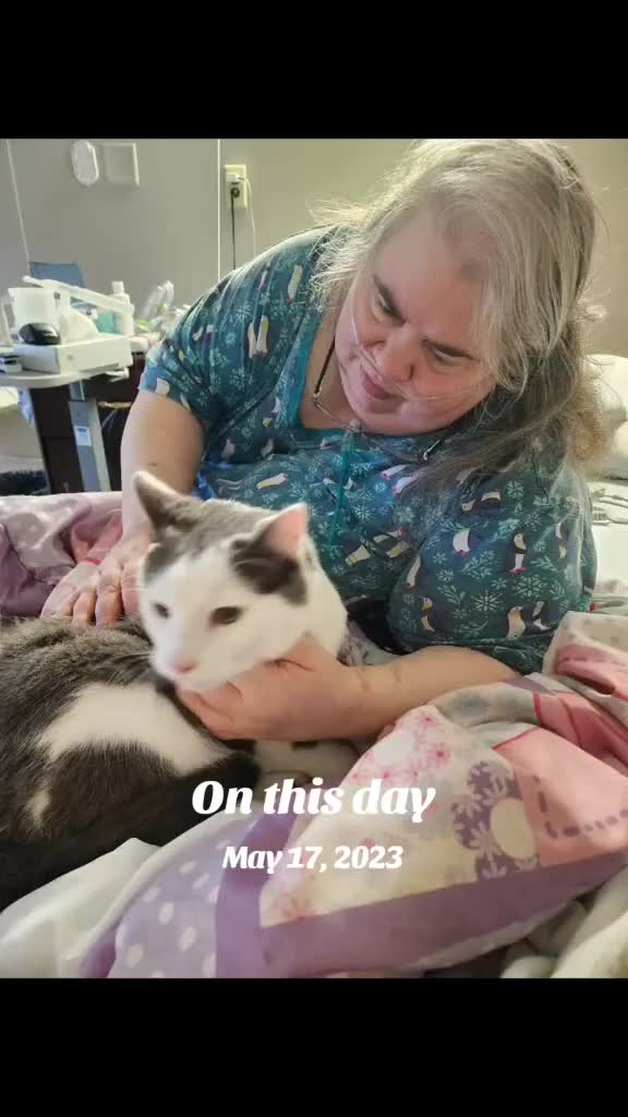 @Mommykins