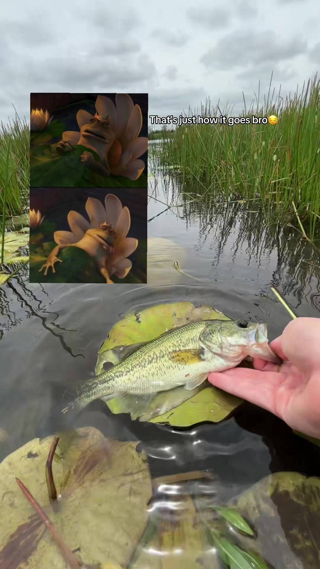 @ethan4fishing
