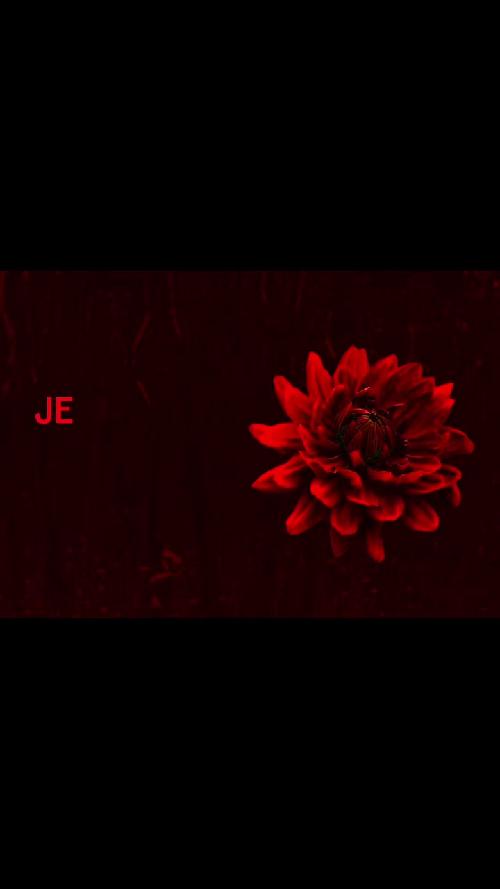@evangelinecut.vfx