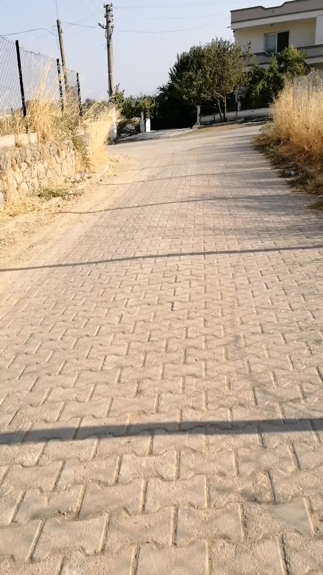 @Funda &ouml;zek