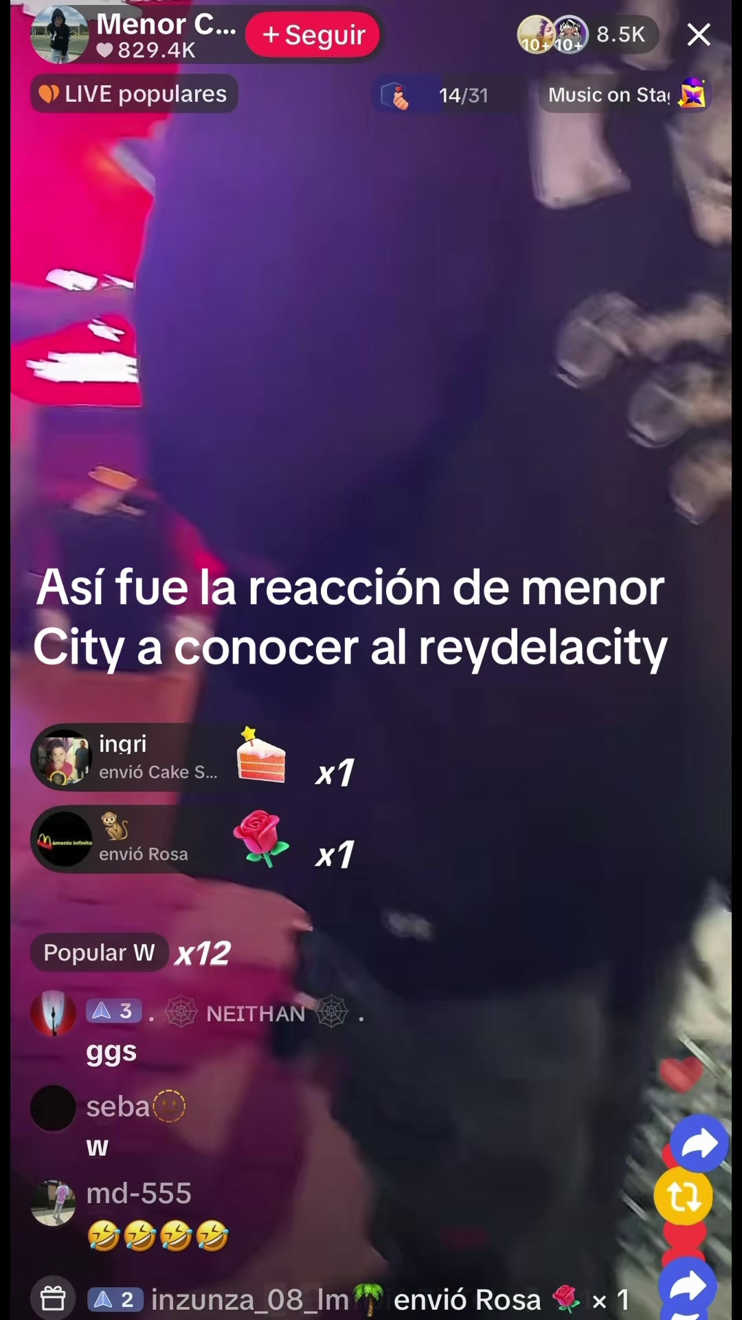 @sebastiangabriely1