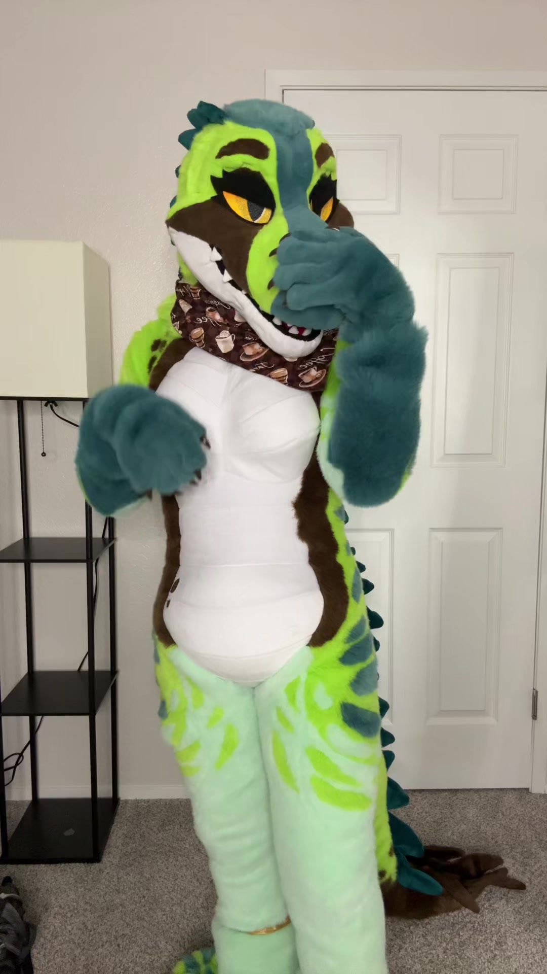 @Aeko🔜Furlandia 2026