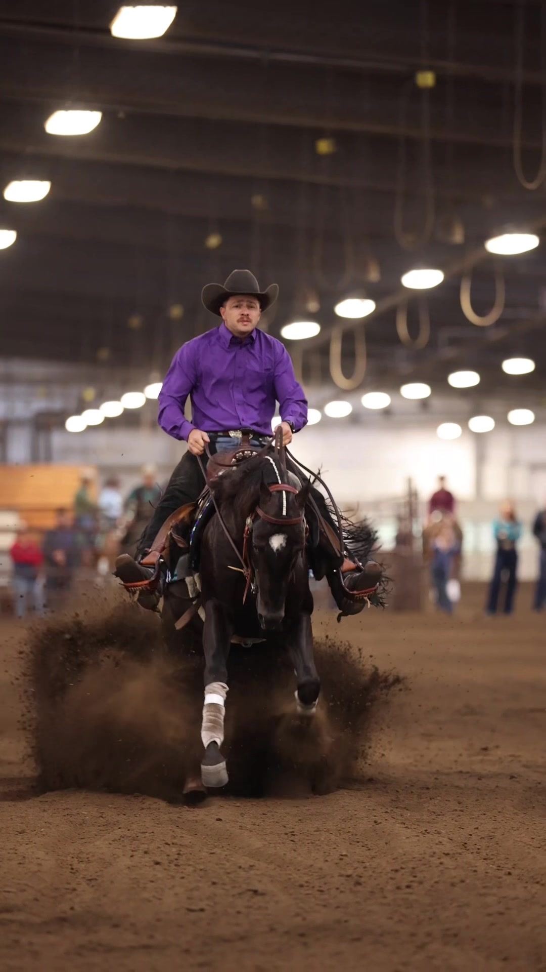 @Aubray | Equine Photographer