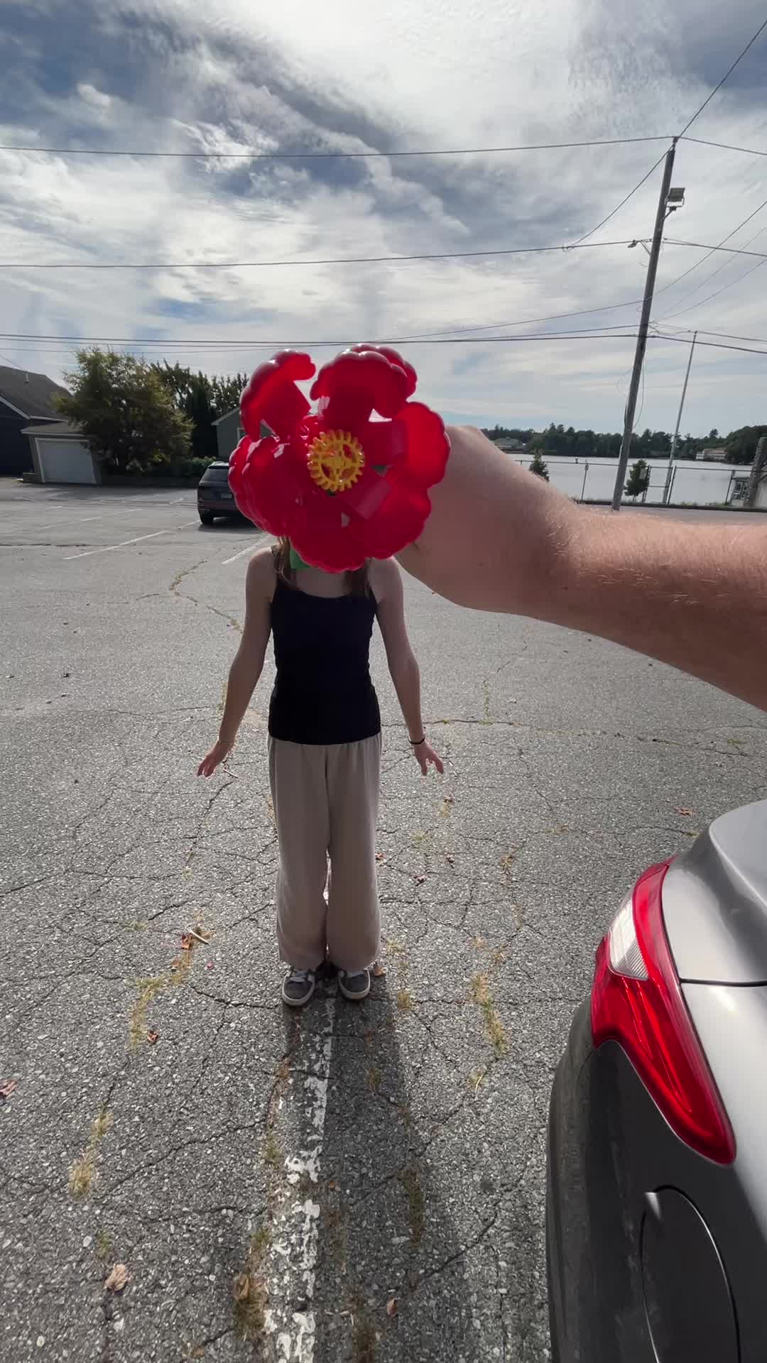 @Ayla