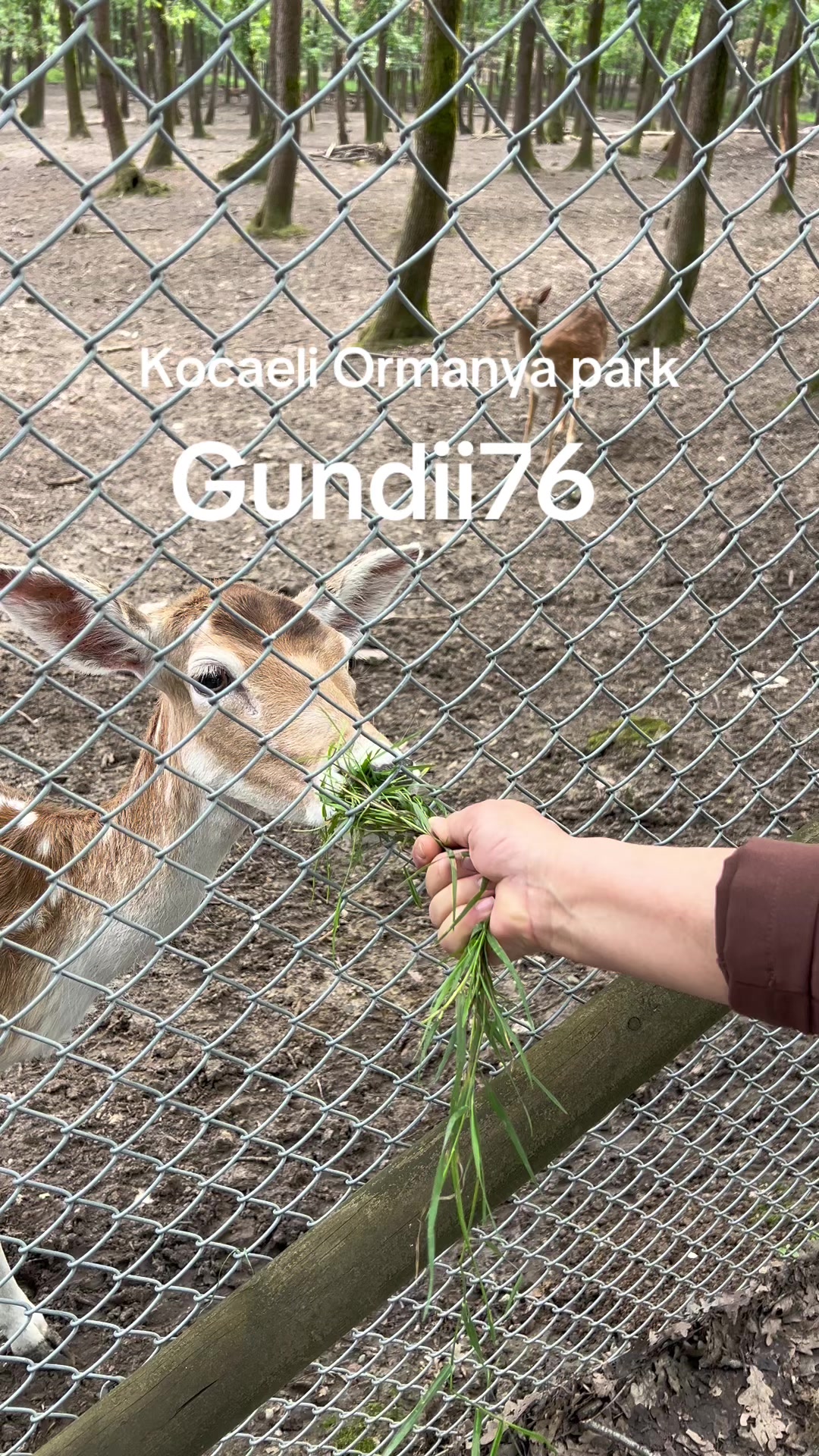 @✌️K&ecirc;&ccedil;&acirc; kurd'a✌️
