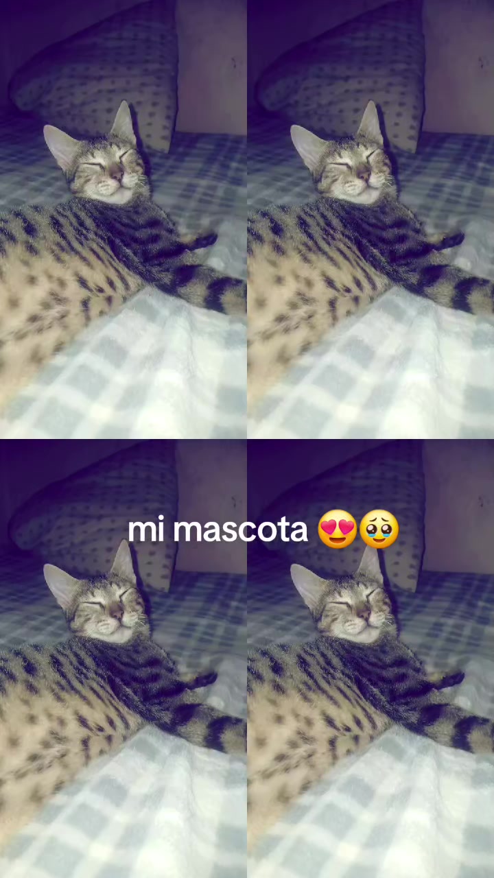 @Tu Negla 🥹💗🙈