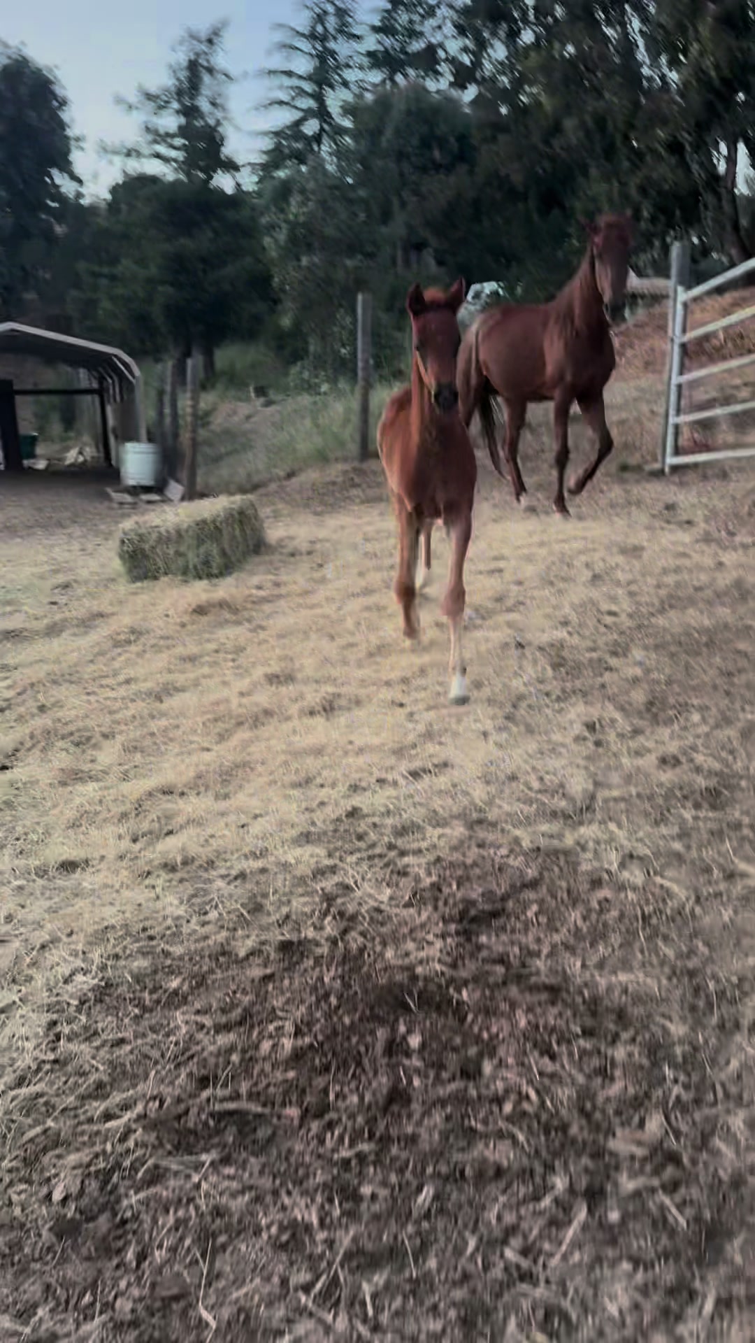 @BoeRanch14