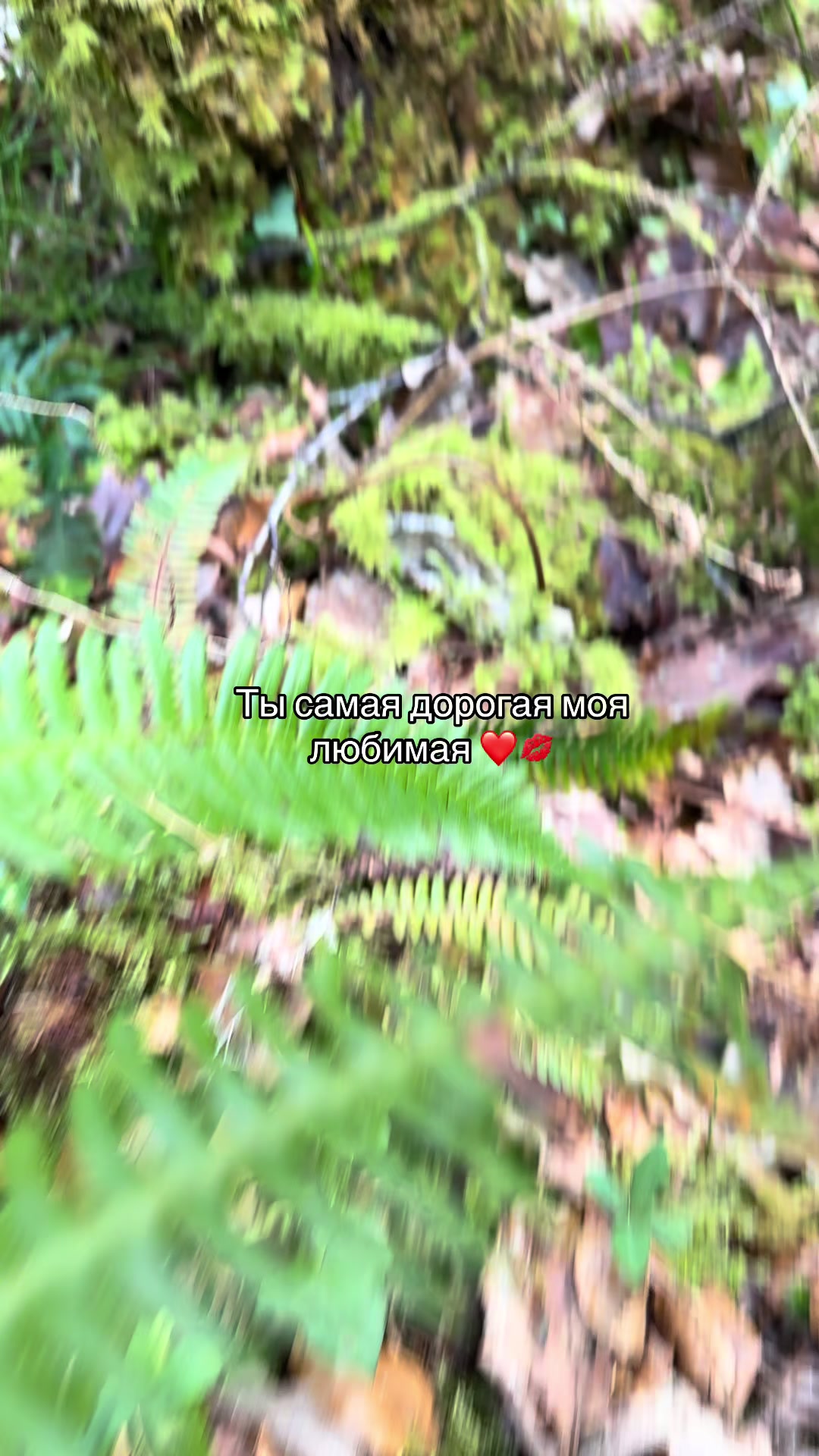 @fut_0_3