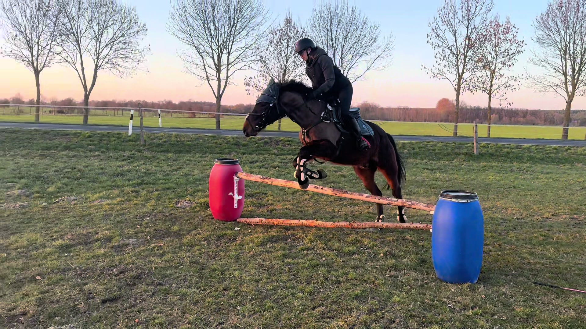 @springpony_donar