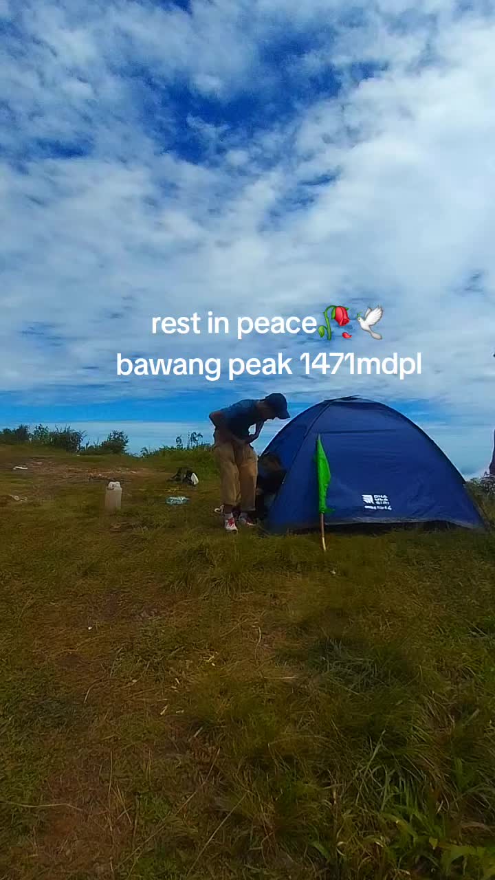 @V ɪ ɴ ᴢ.
