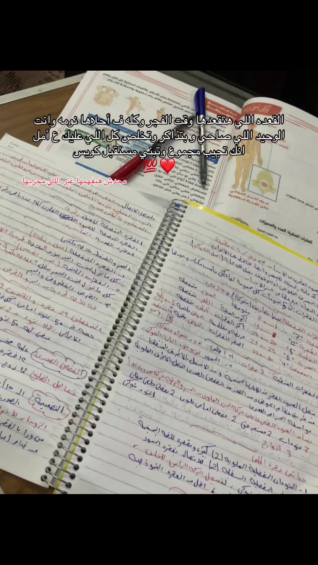@aljidawi