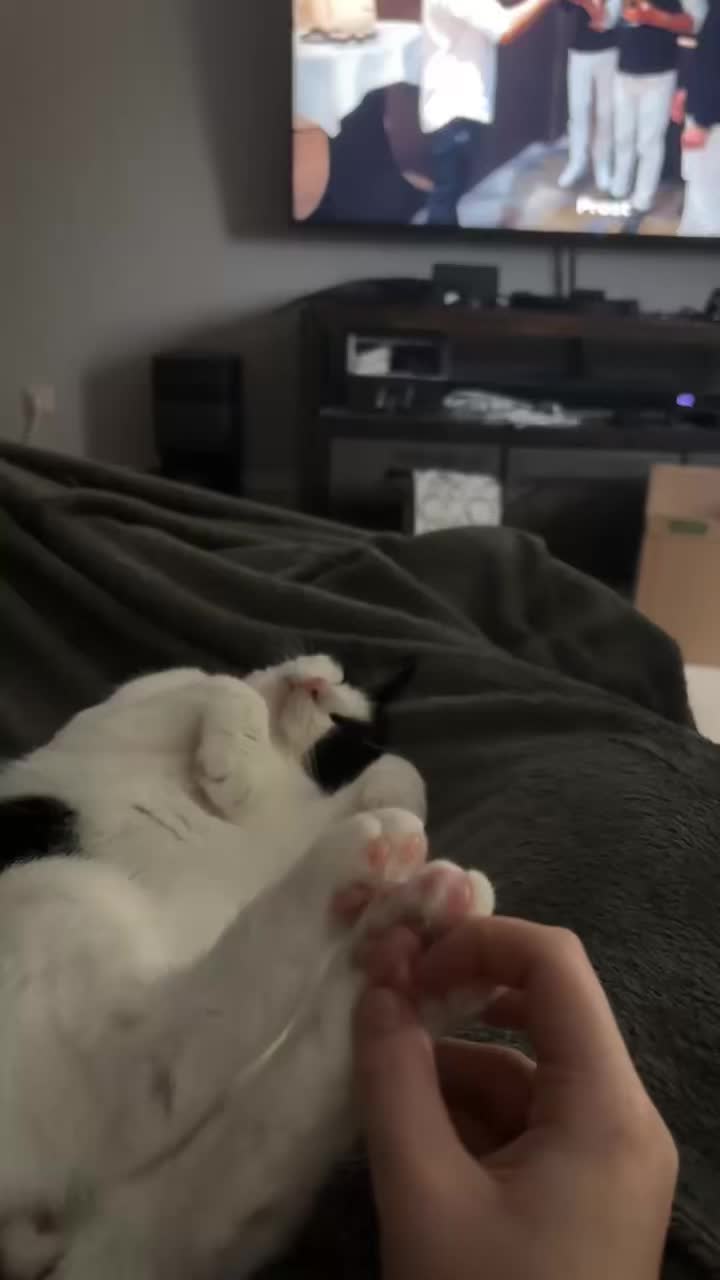 @ʝ&alpha;&iota;ѕѕ&iota;😌