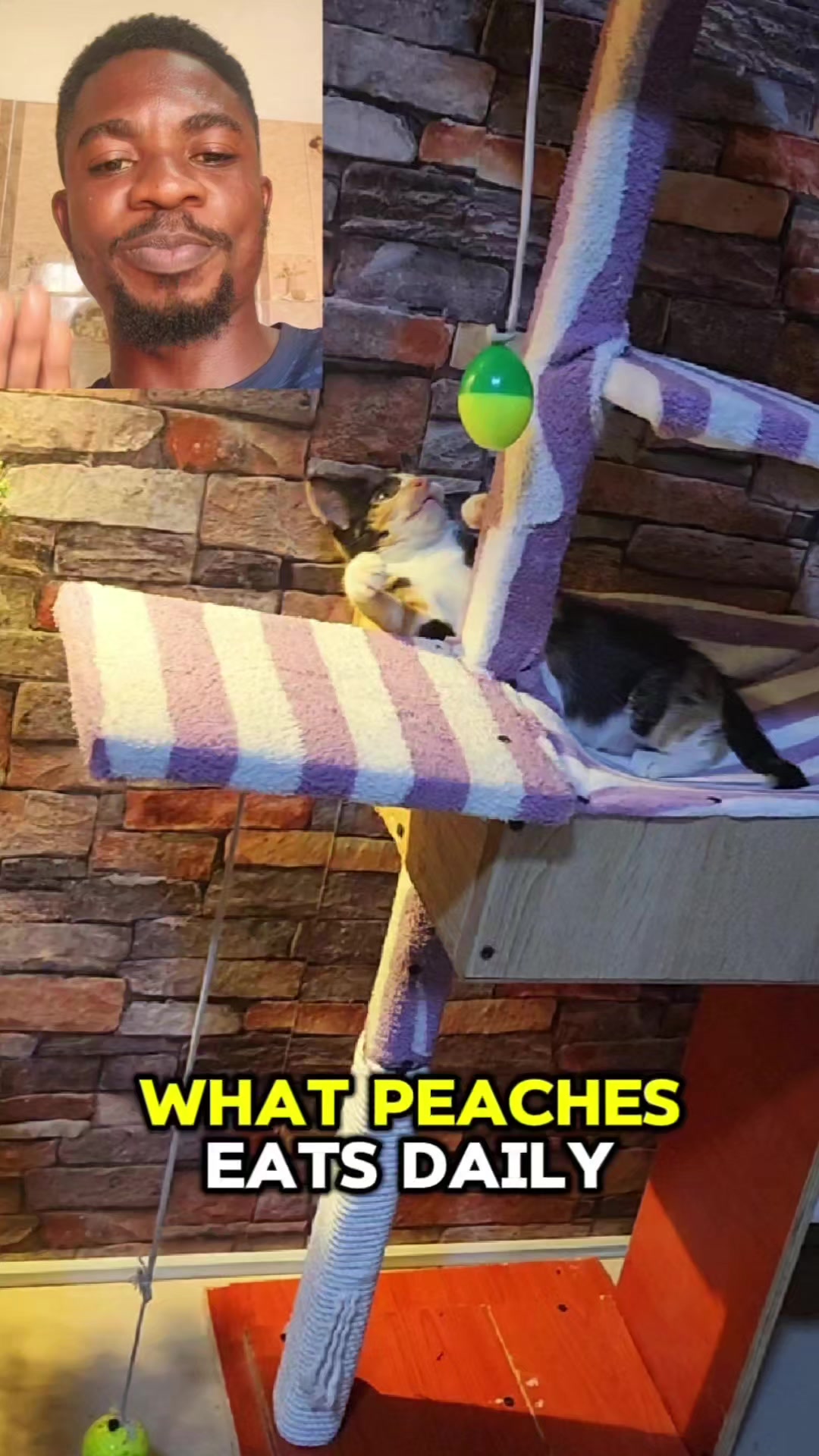 @Sleek Spaggy