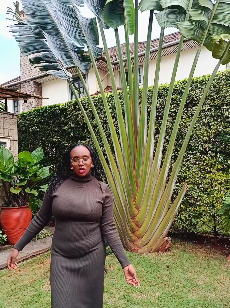 @D.Ninga 🇨🇭🇰🇪