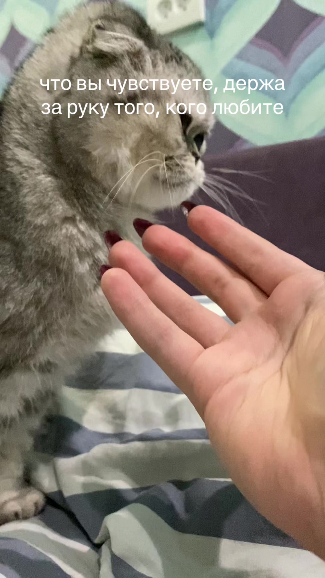 @ʕ⁎̯͡⁎ʔ༄