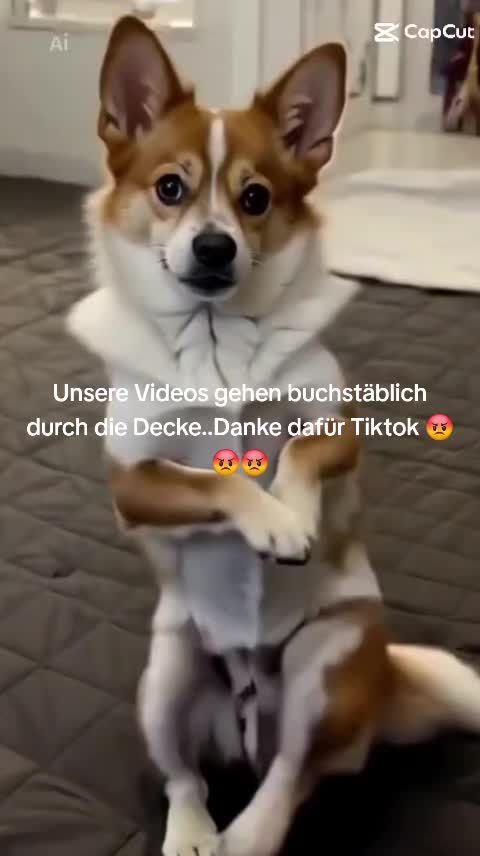 @Zweihorn