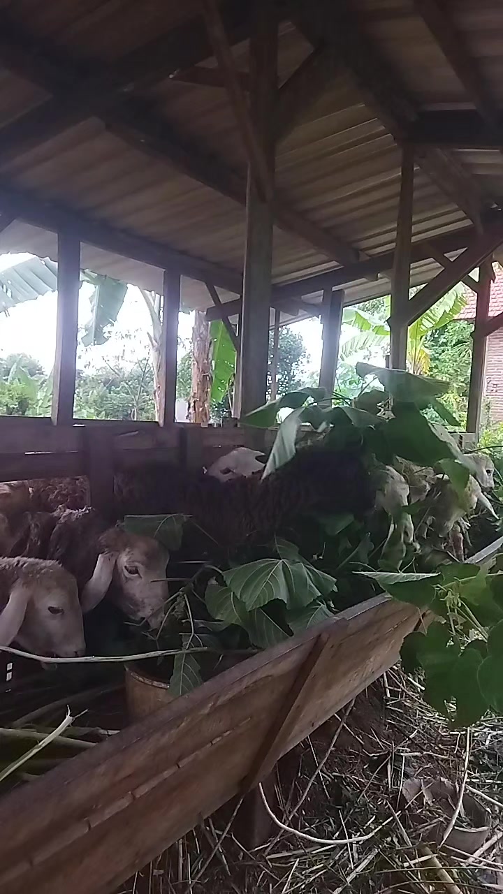 @I'm A Farmer