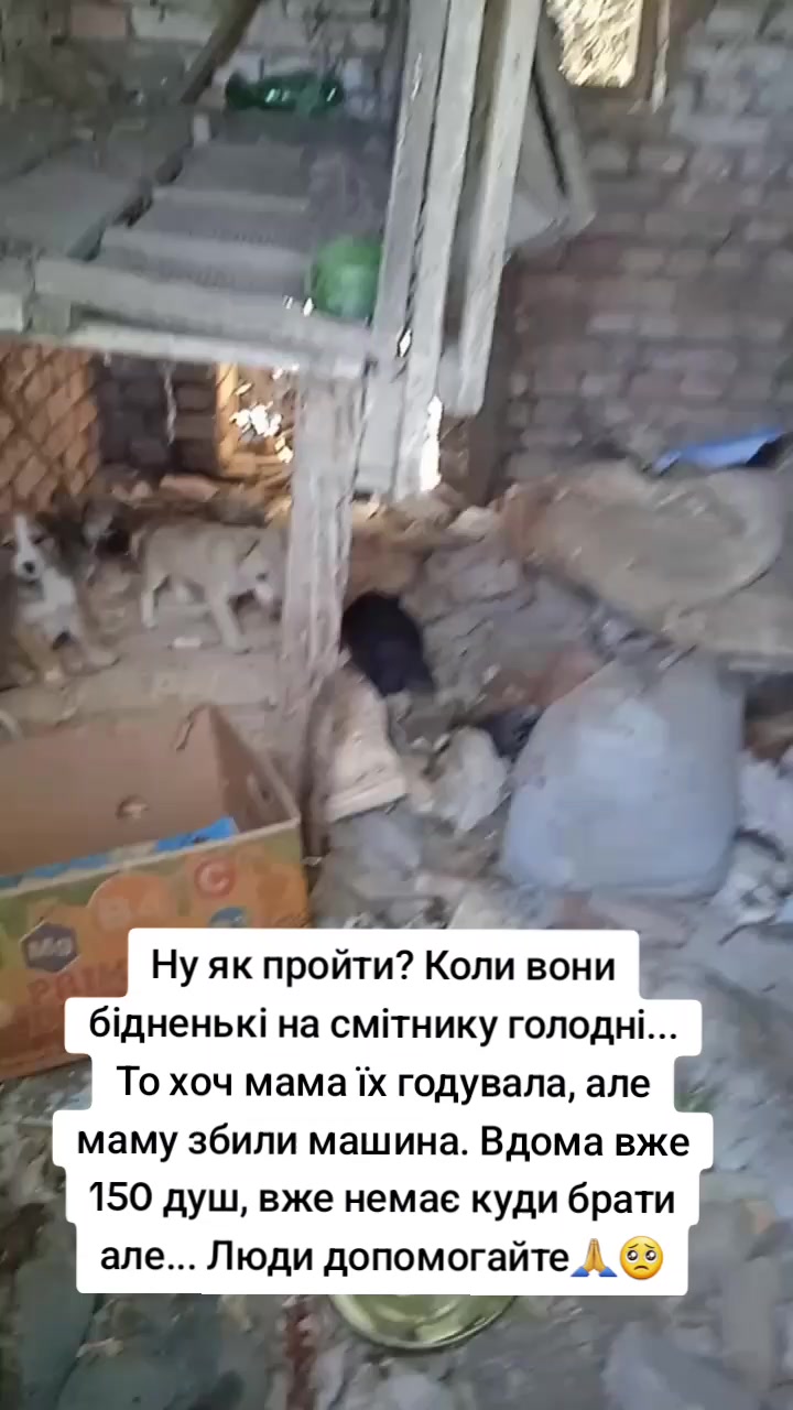 @tvarinkidobra