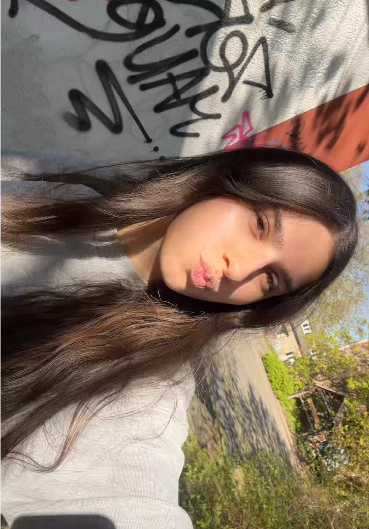 @nilognocchi