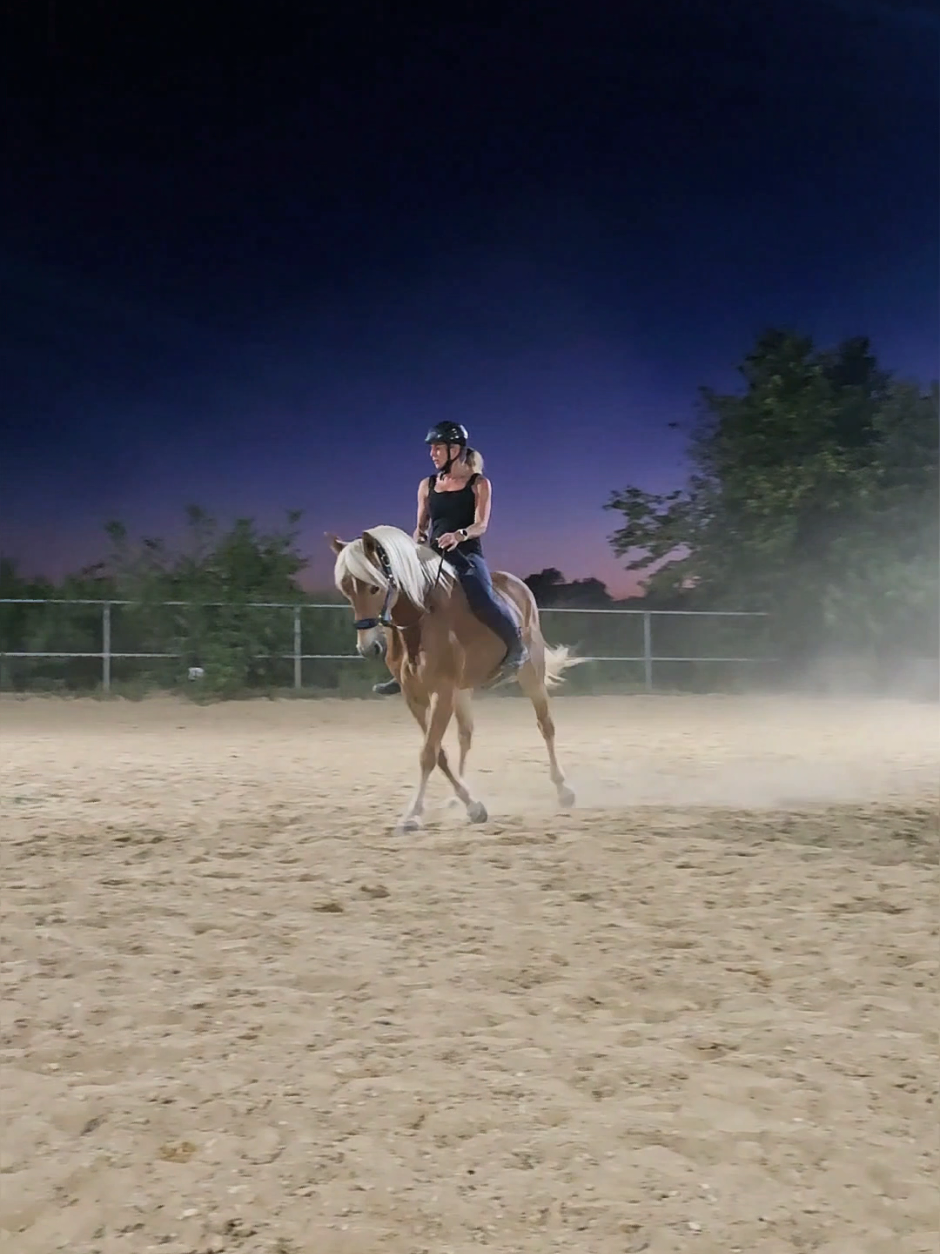 @Dreamhorse_Edelbluthaflinger