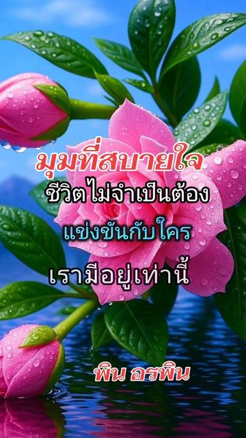 @Pin Orapin
