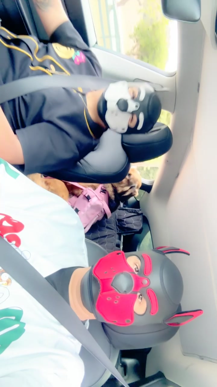 @pup_fenrir