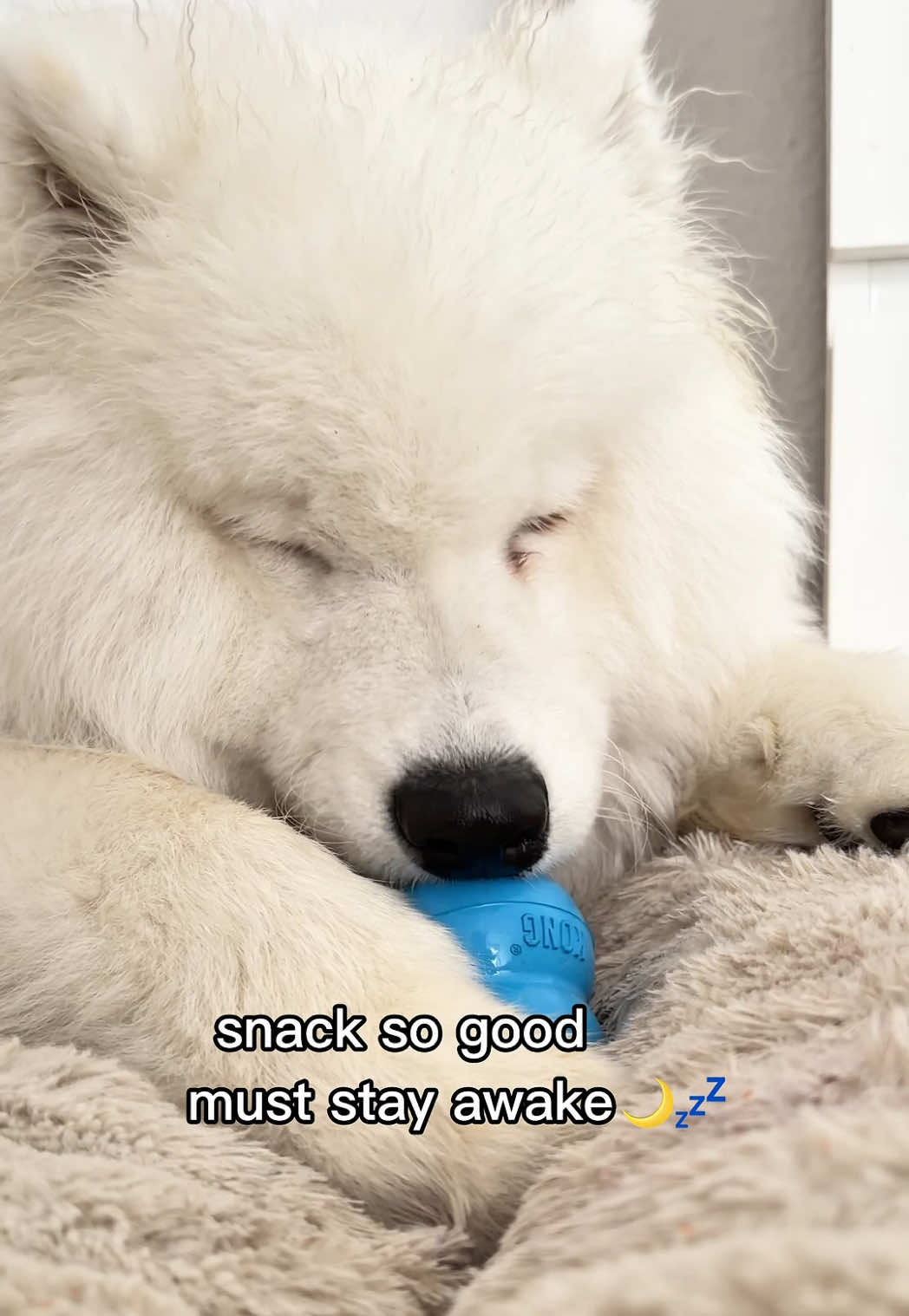 @snowydayswithlio