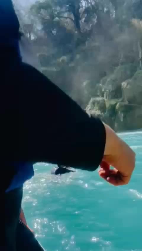 @carlos_9090