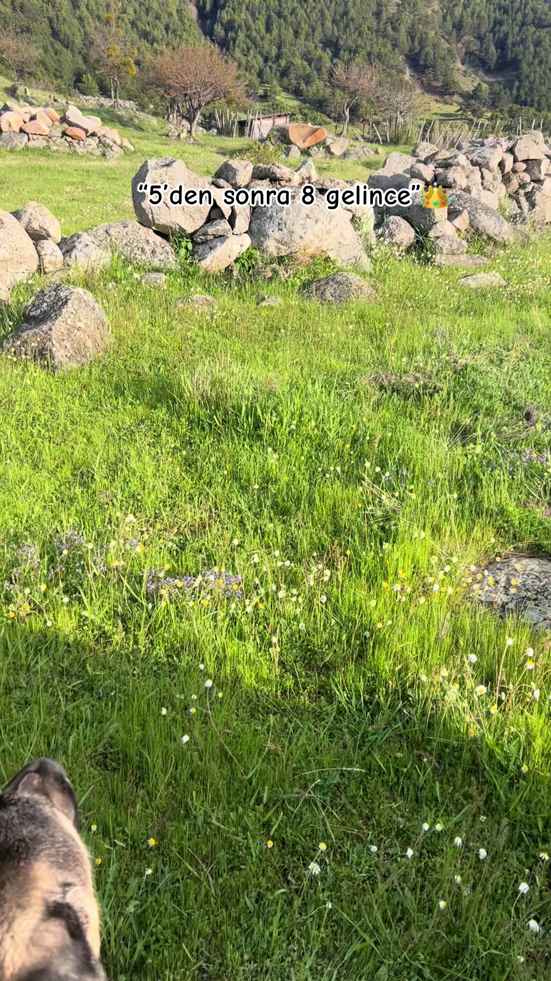 @𝓔𝓻𝓲𝓶𝓪𝓷