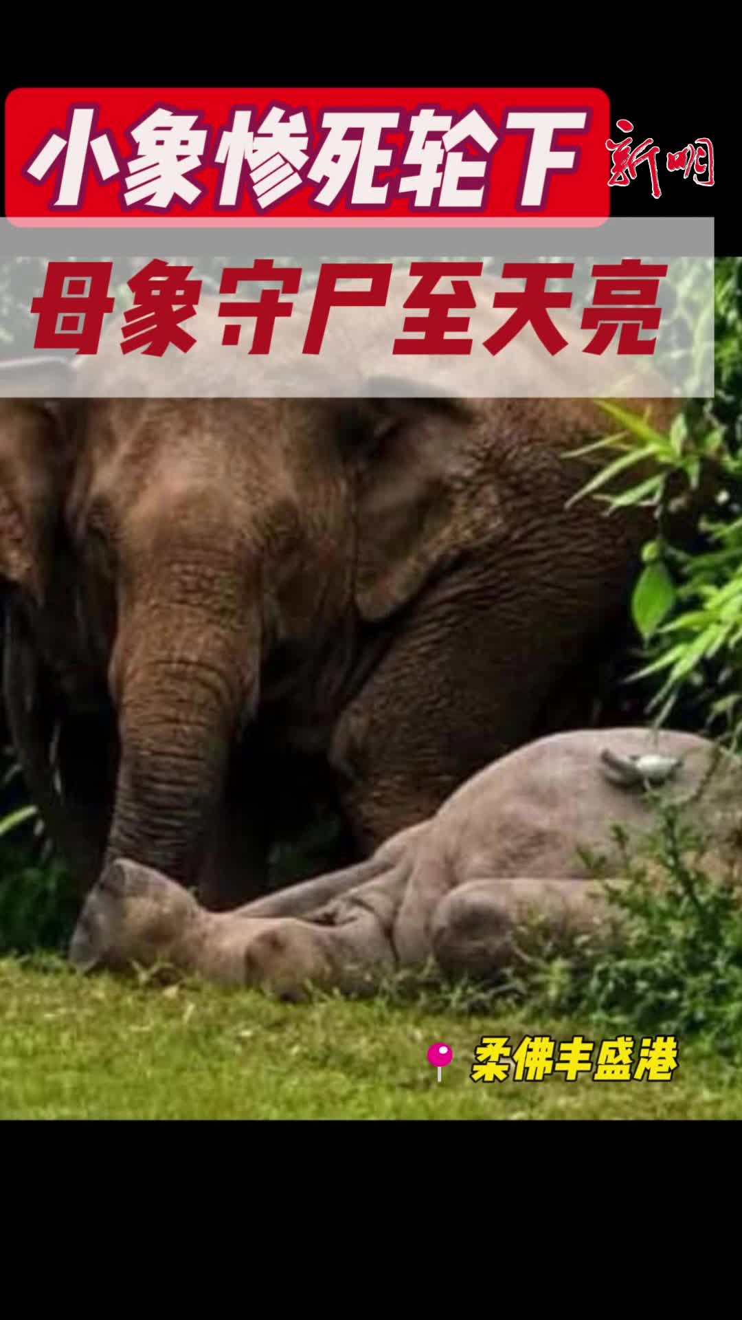 @新明日报