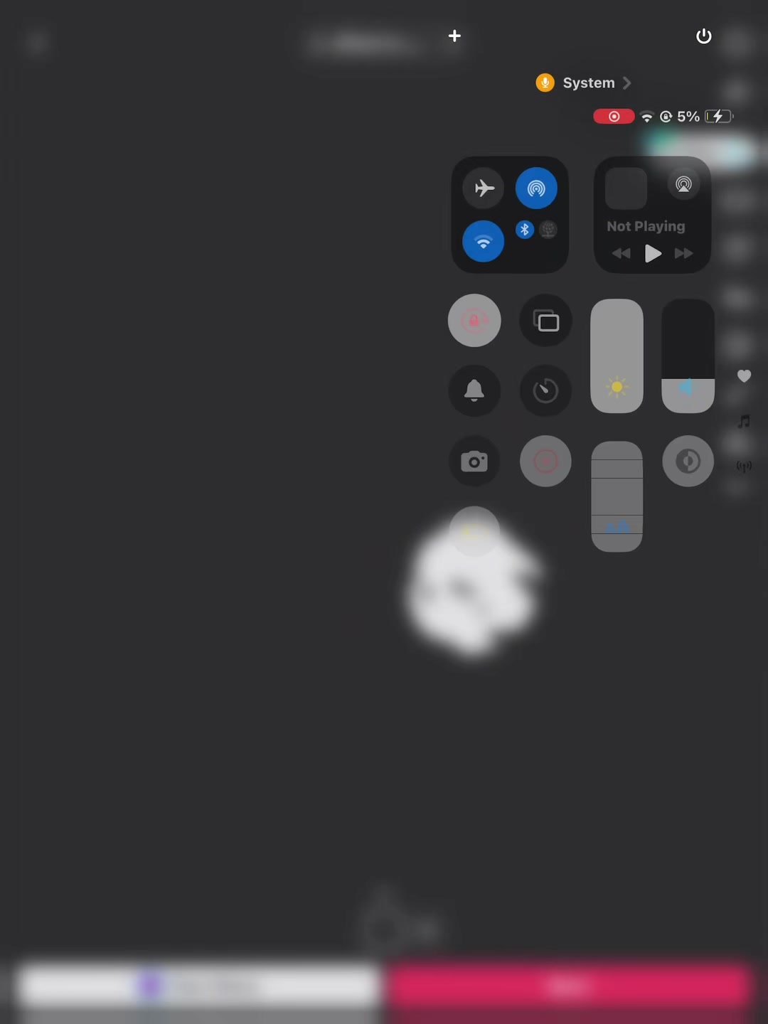 @🪳