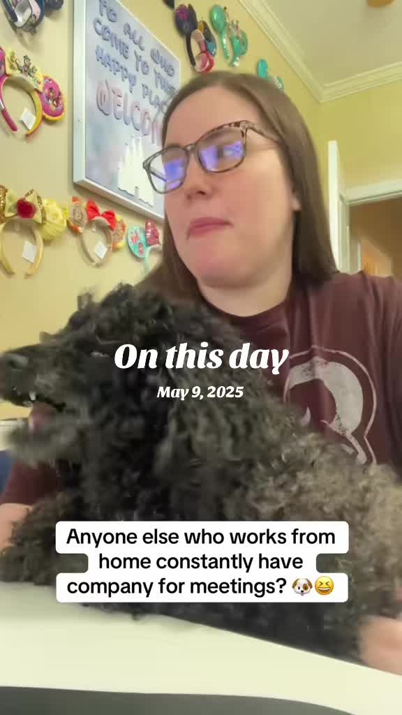 @Ashley ✨ HappilyEverAshley