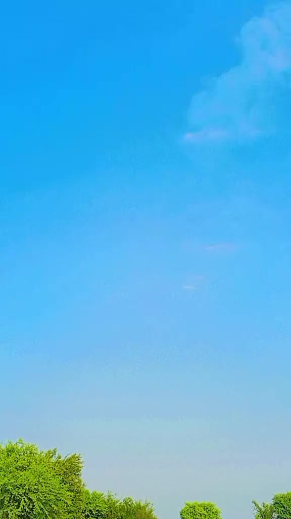@𖤍 بـلالـــــی گـھنجــیـرا ☠︎