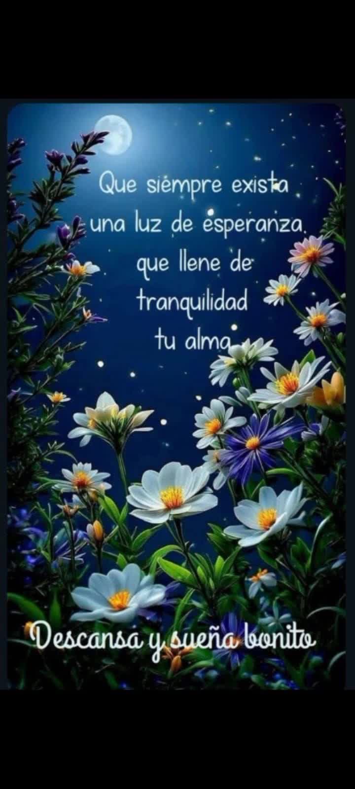 @Mariela 💖