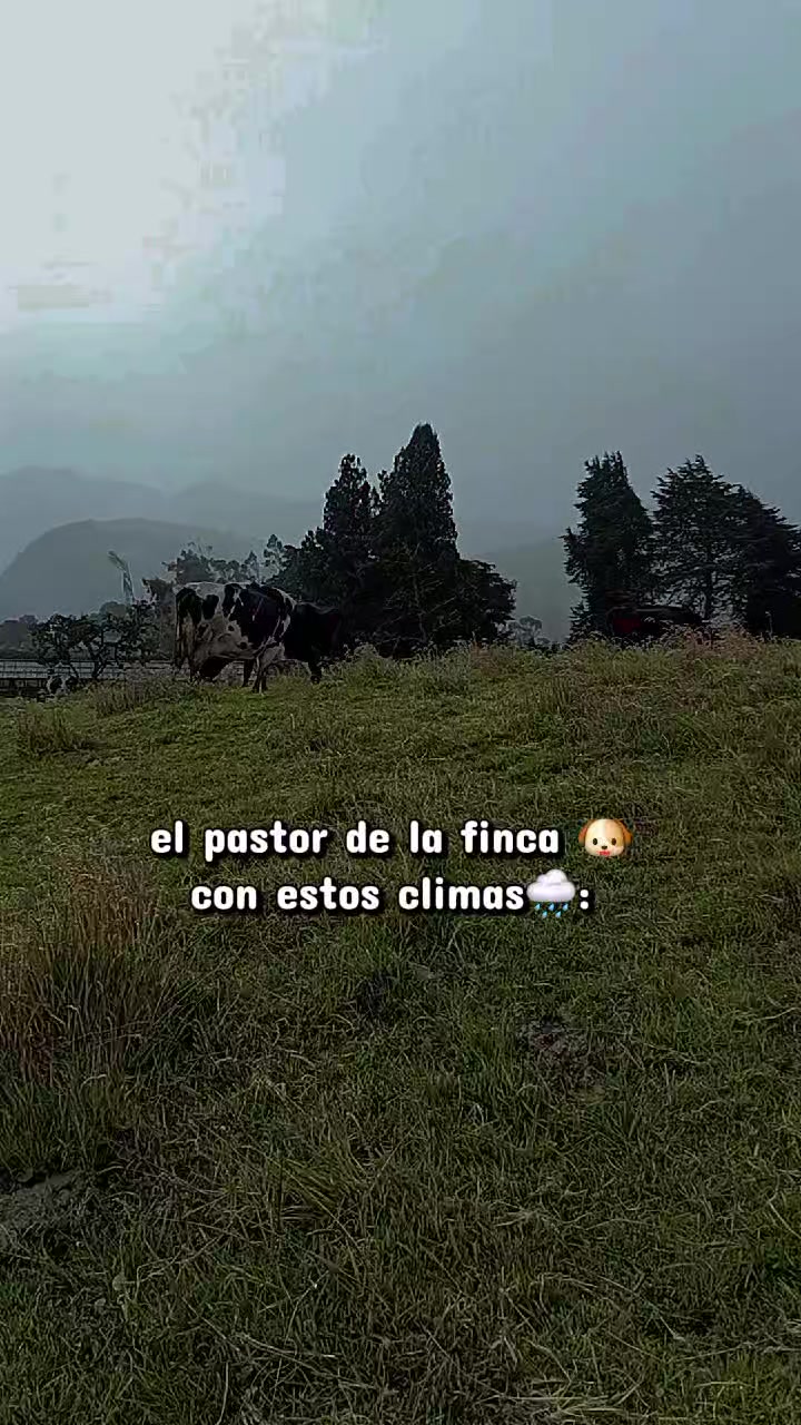 @Felipe c