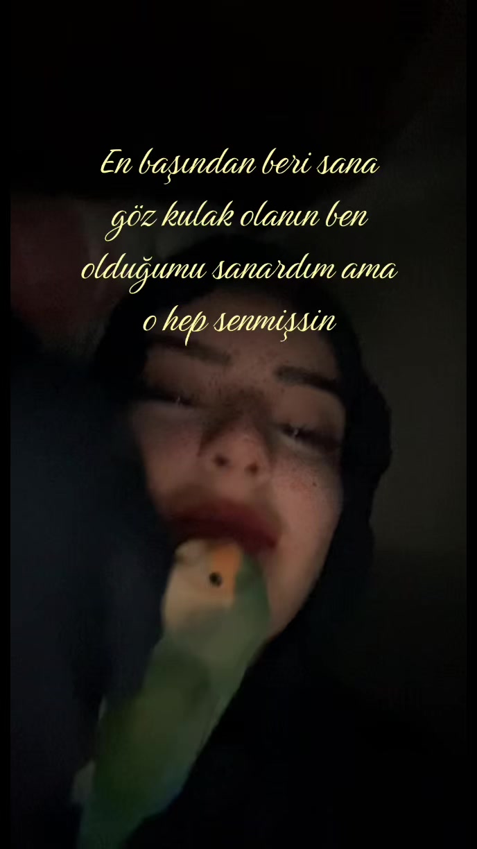 @bahar ❀